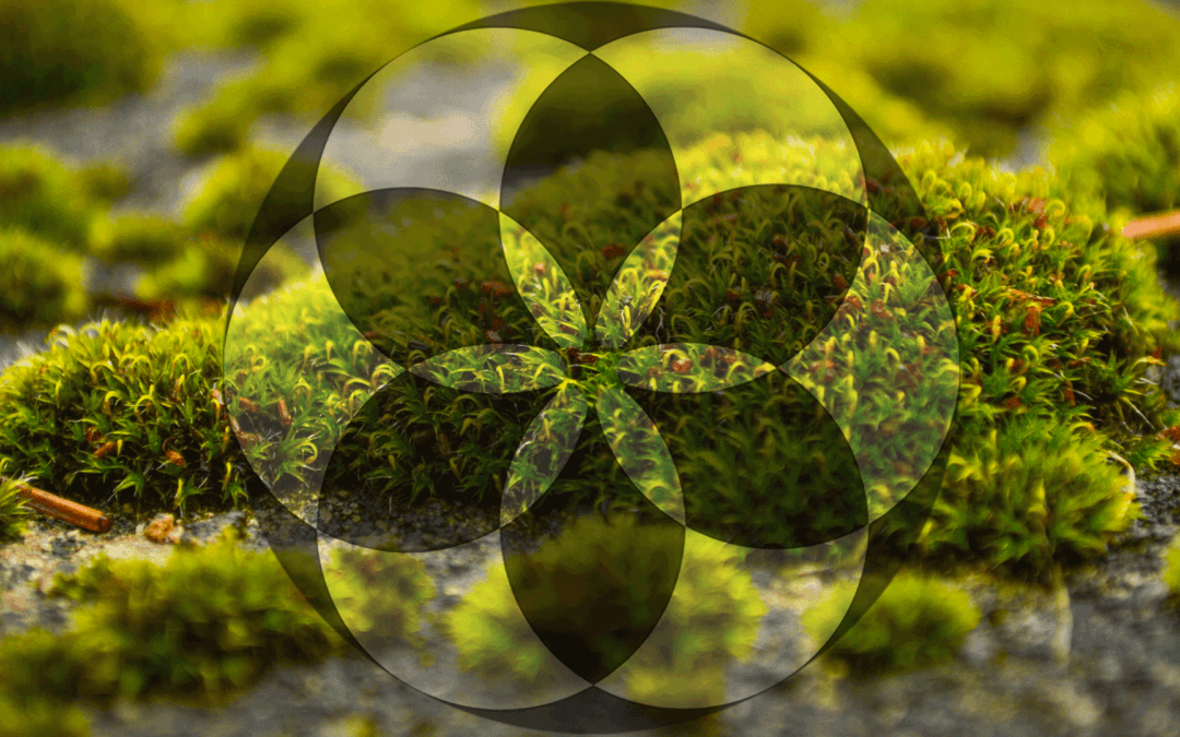 Chapter 9 : The bulk – the trinity of all civilizations and the truth of god, as per Sciences definition, where Hell, Purgatory and Heaven are explained through Karma