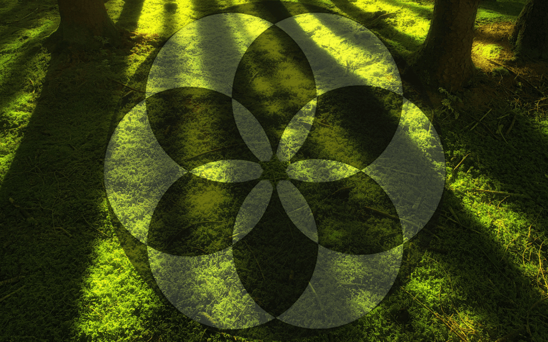 chapter 15 : the military rise of a nation of shopkeepers