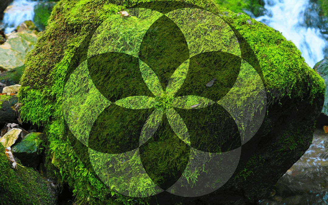 chapter 16 : hostile feelings – the international repercussion of reason