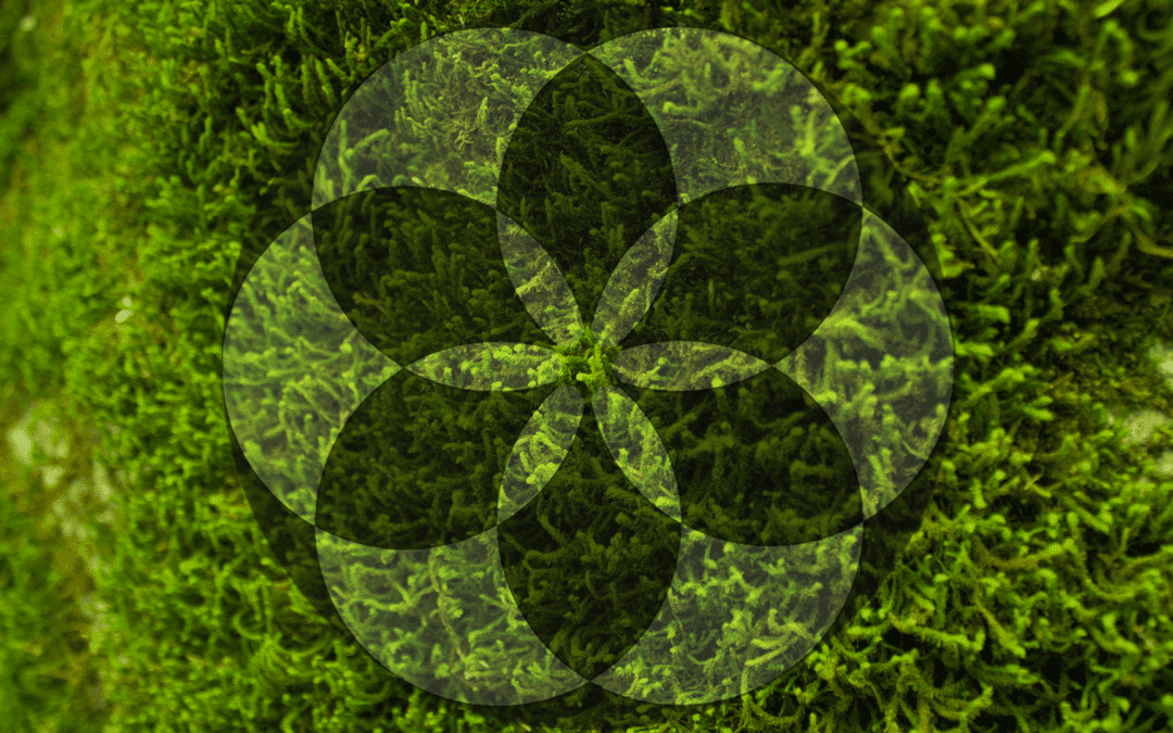 chapter 20 : globalisation – the karmic result